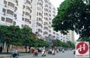 Thị trường nhờ ở giá rẻ dành cho người thu nhập thấp liệu có bùng nổ trở lại